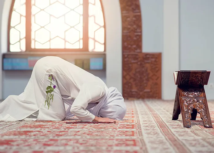Fatwa Panel of the Week - Volume02 Issue27