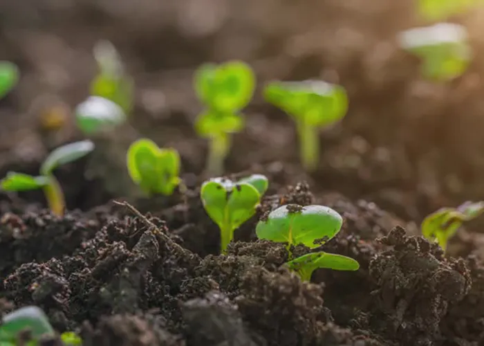 Religious Outreach Experiences - Volume02 Issue50